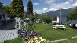 Flowers at Ainsworth Motel